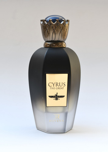 ادو پرفیوم کوروش مردانه روونا 100ml ا Cyrus Rowena men's cologne 100ml